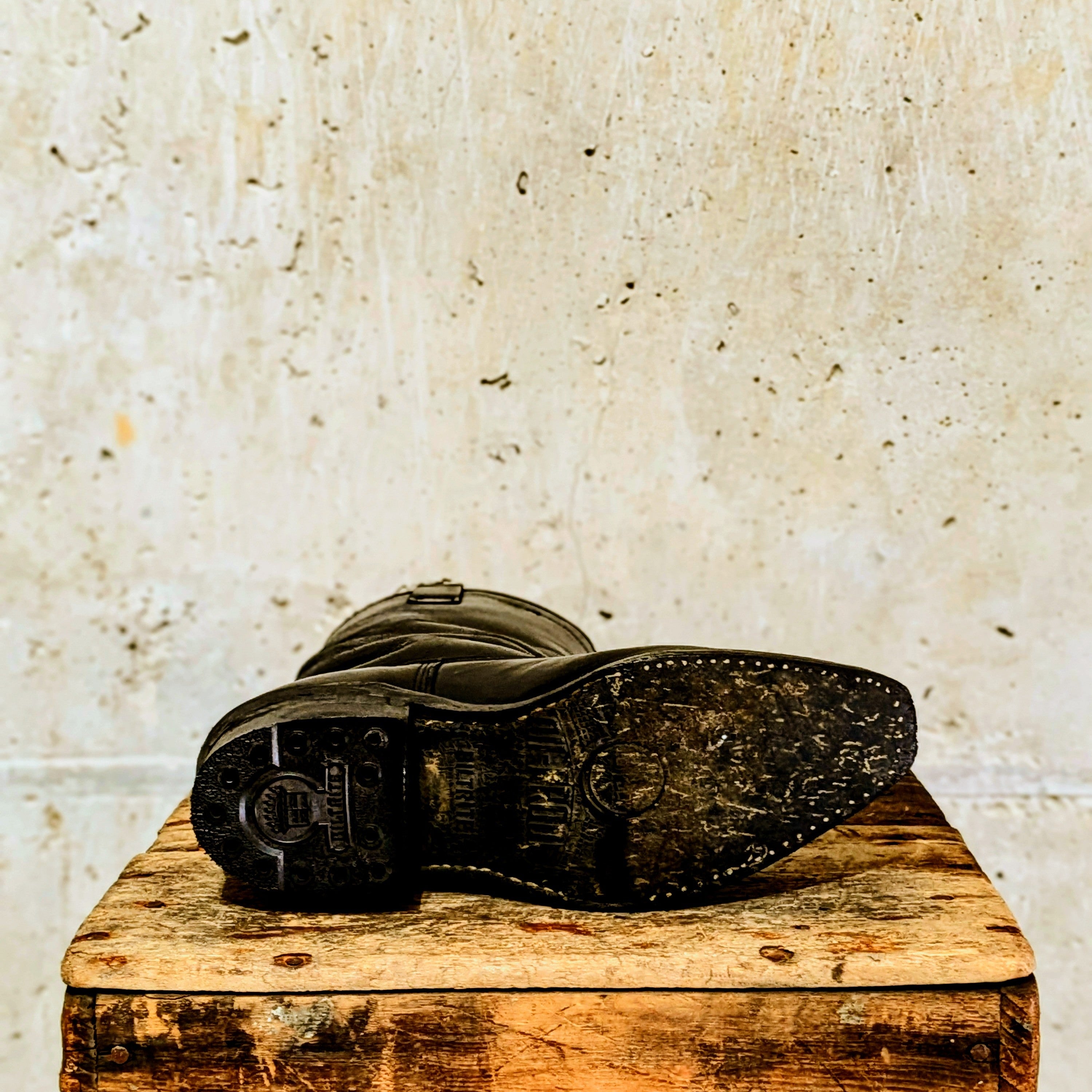 ReBoot - Heritage Black Beauty - 6 E